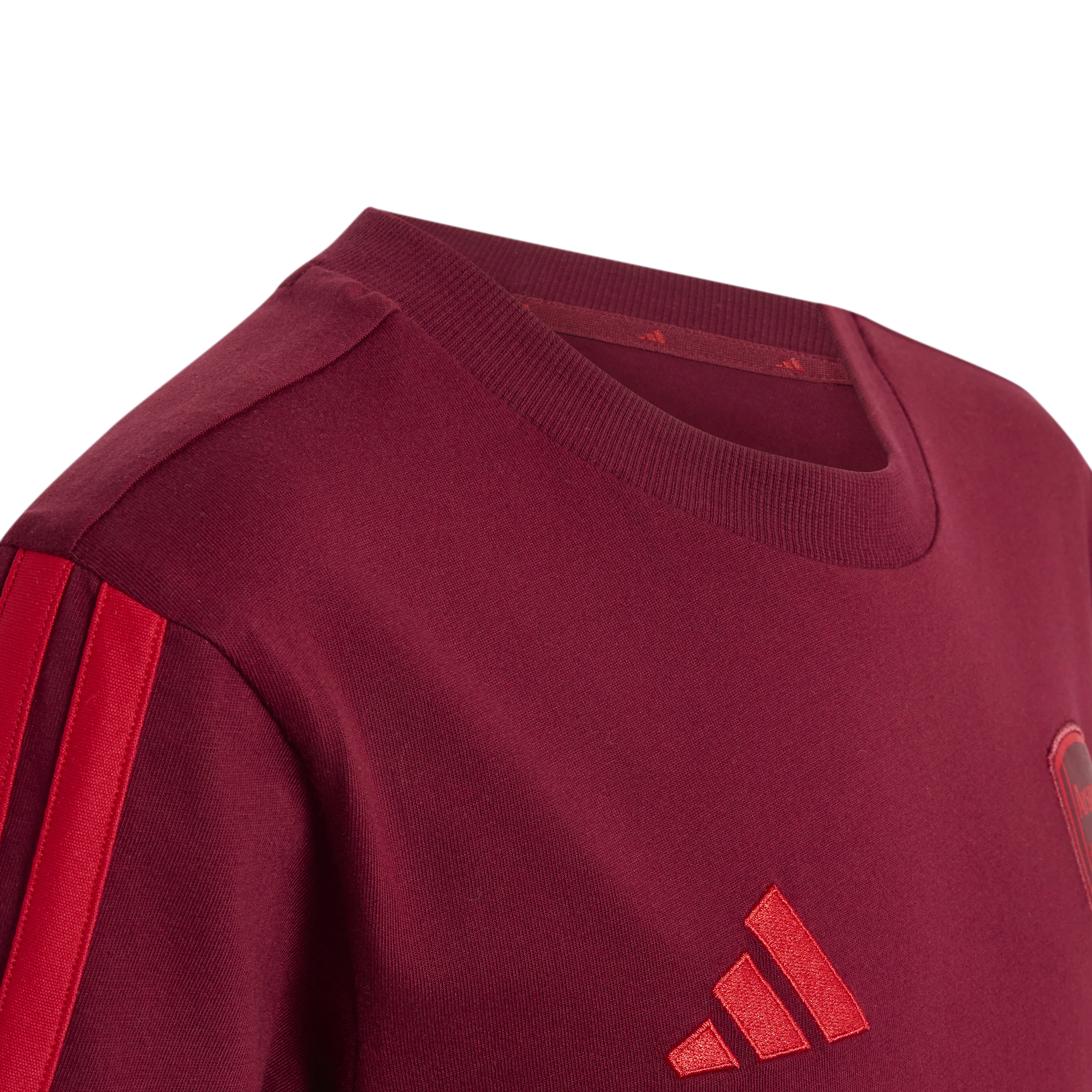 Arsenal FC T-Shirt Barn