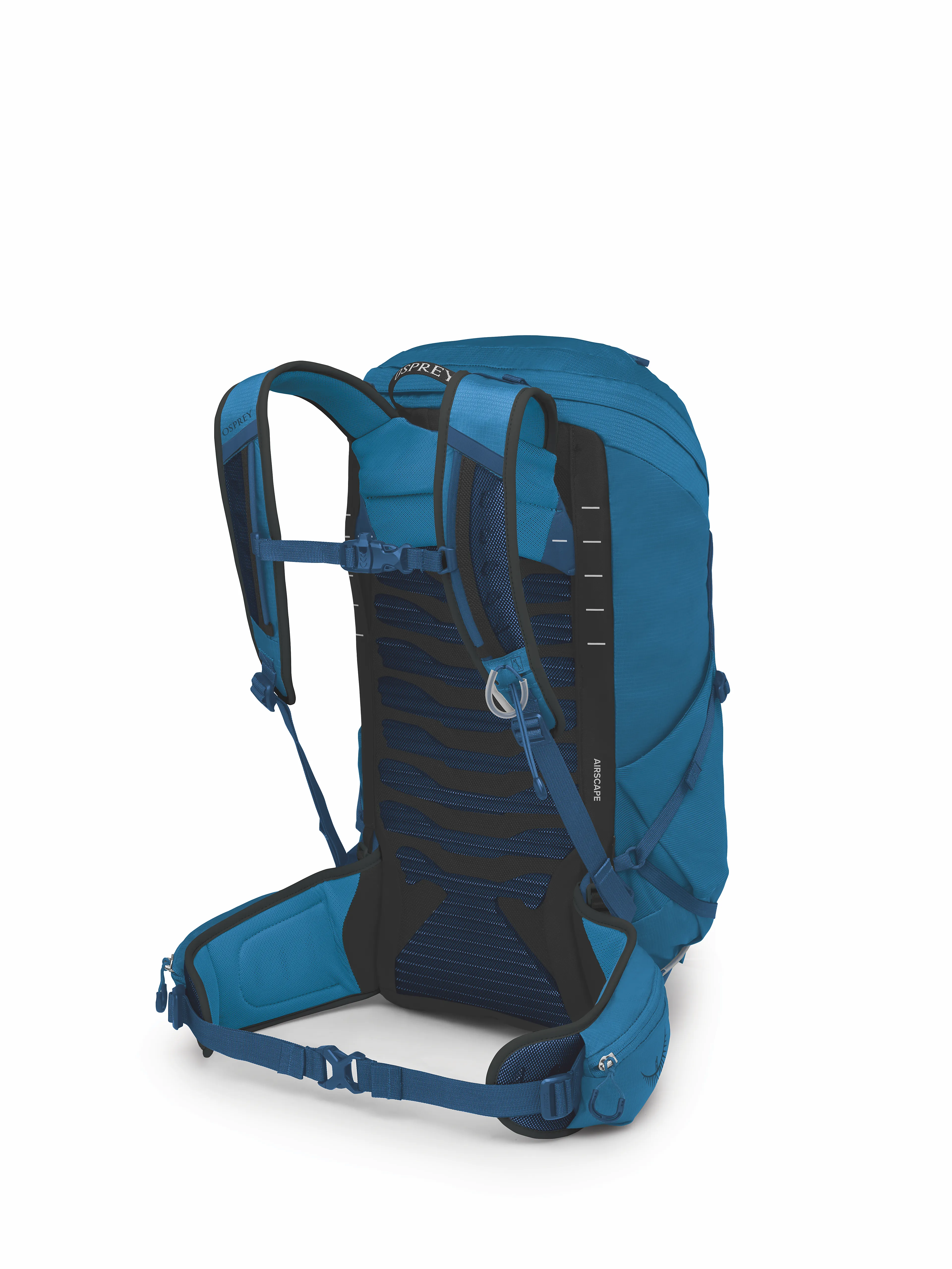Talon 26