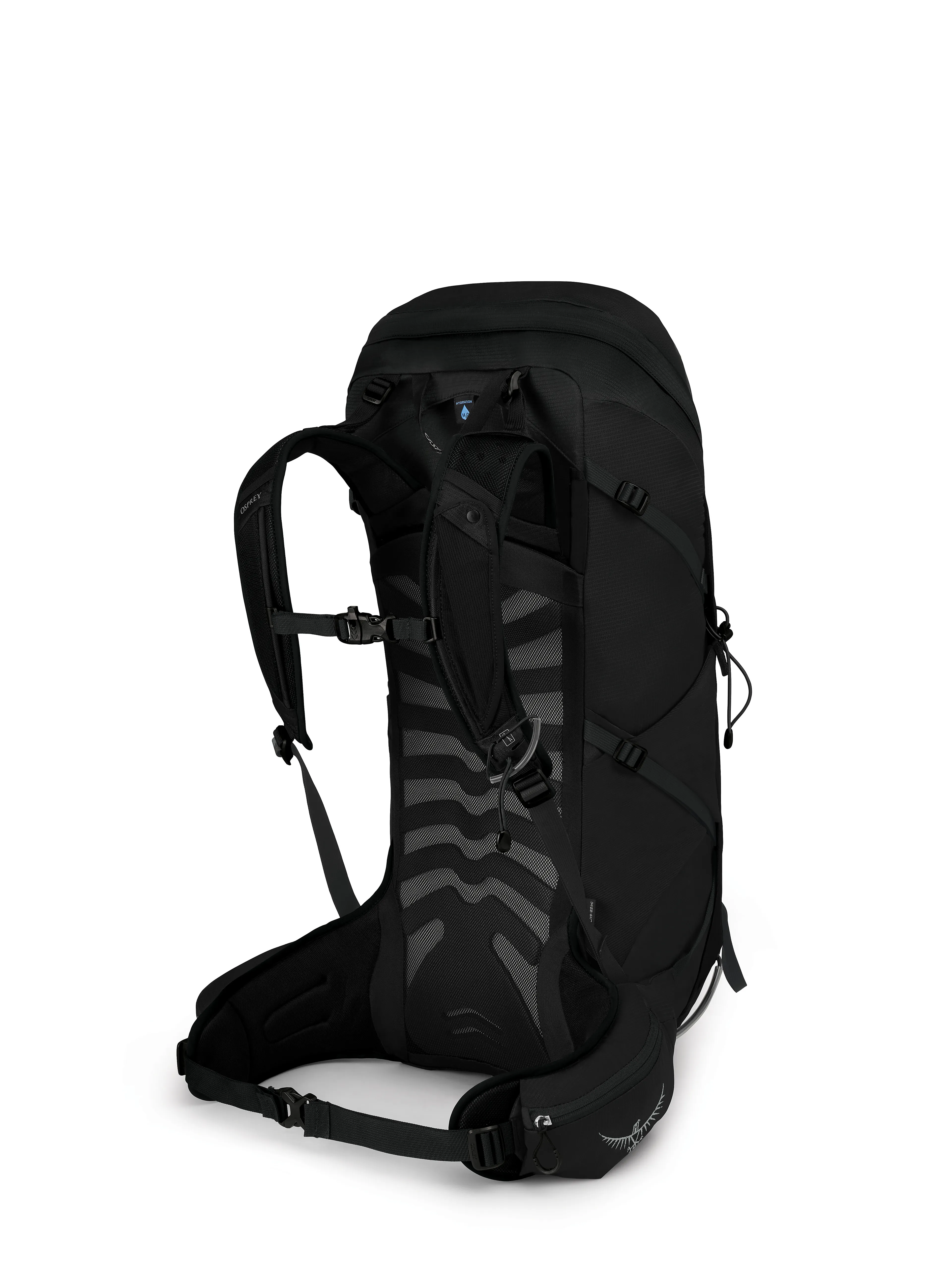 Talon 36