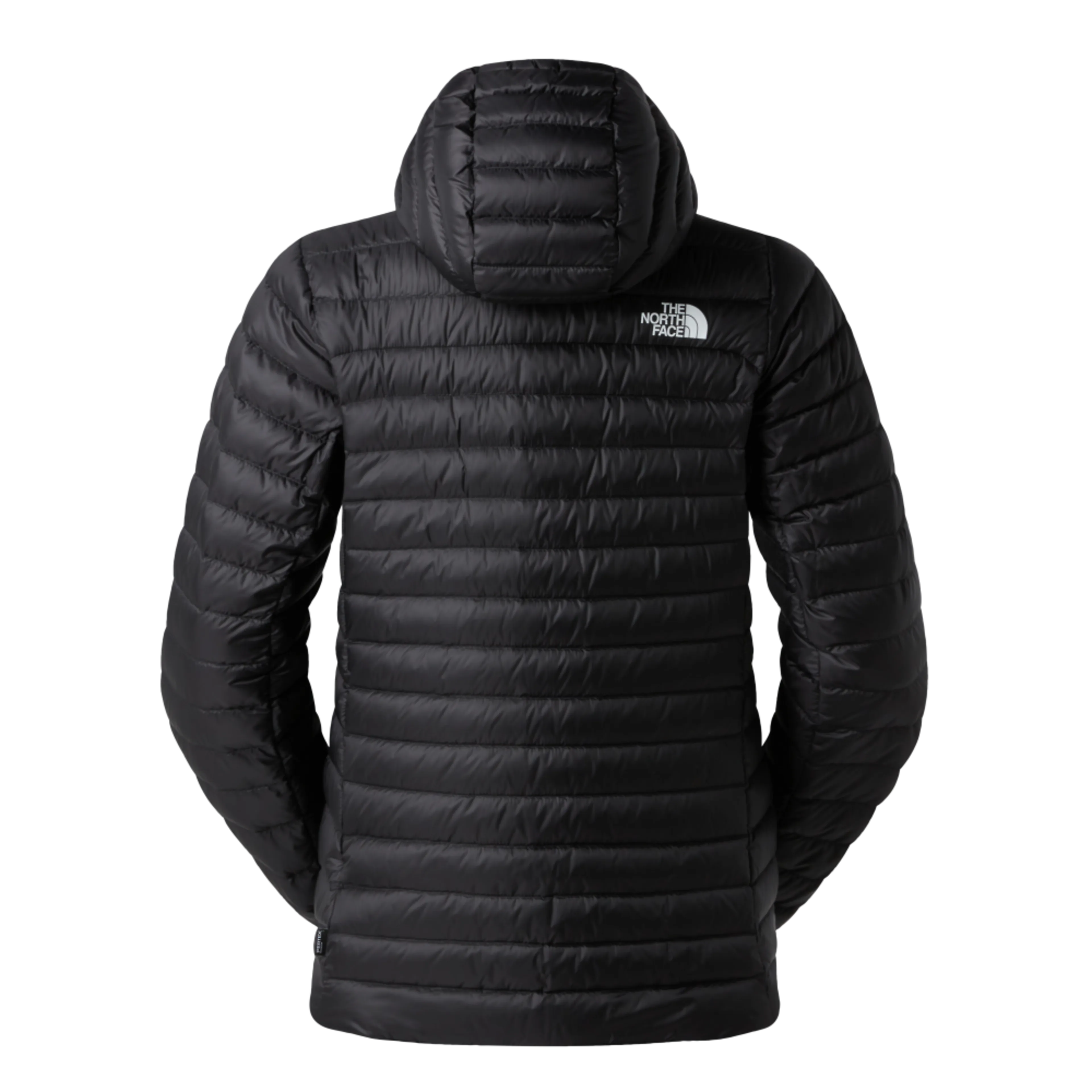W BETTAFORCA LT DOWN HOODIE