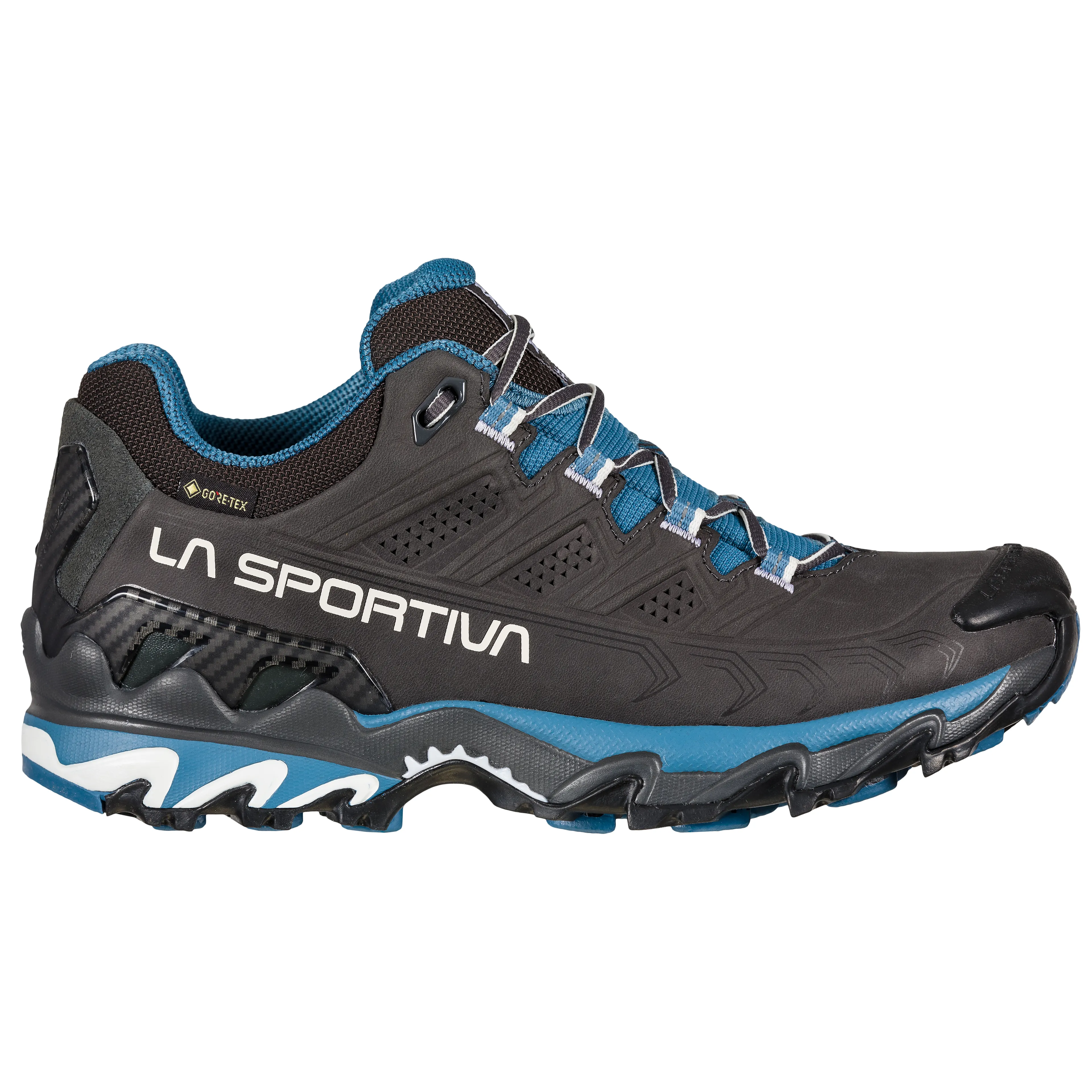 Ultra Raptor II LT GTX terrengløpesko dame