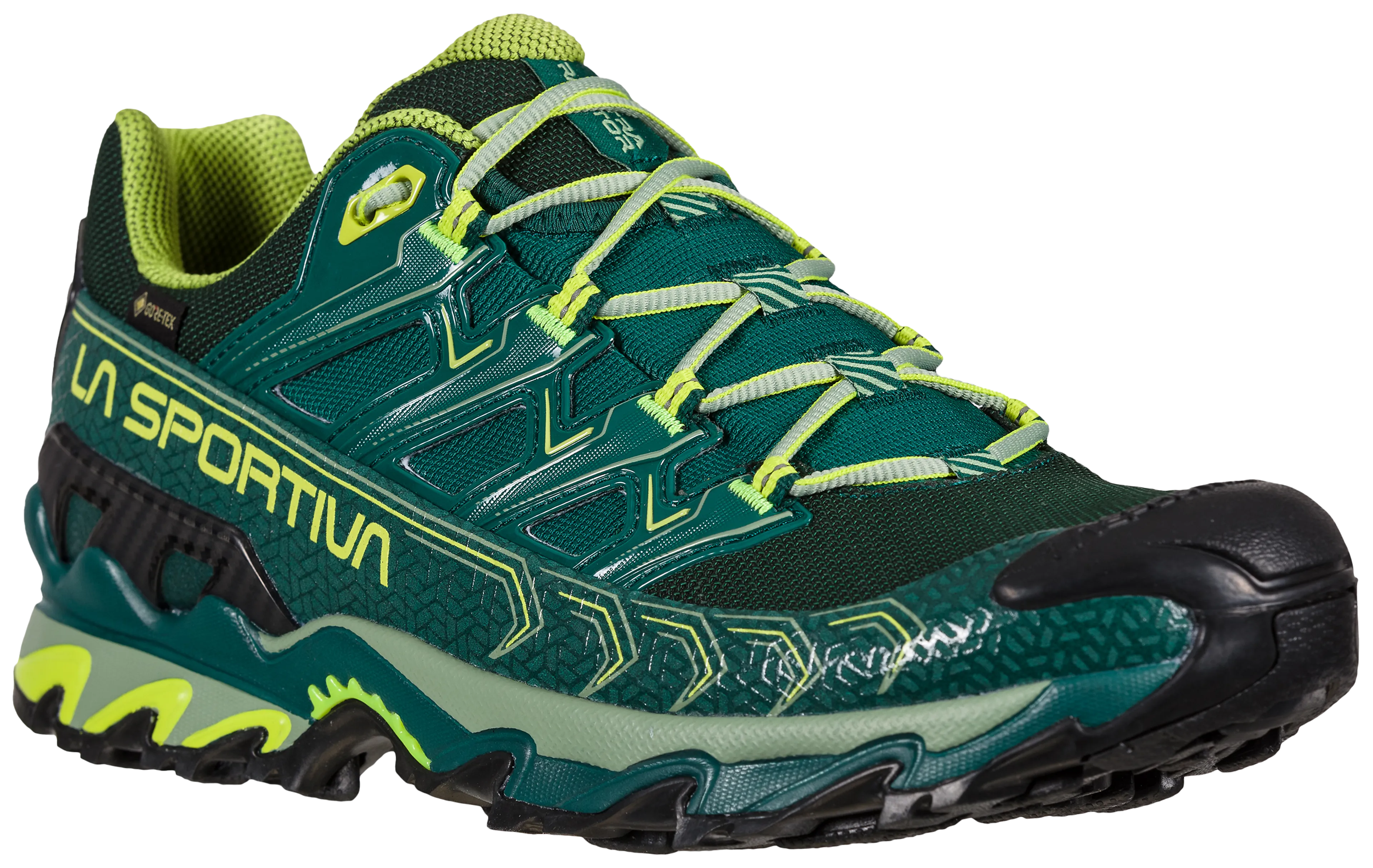 Ultra Raptor II GTX Hikingsko