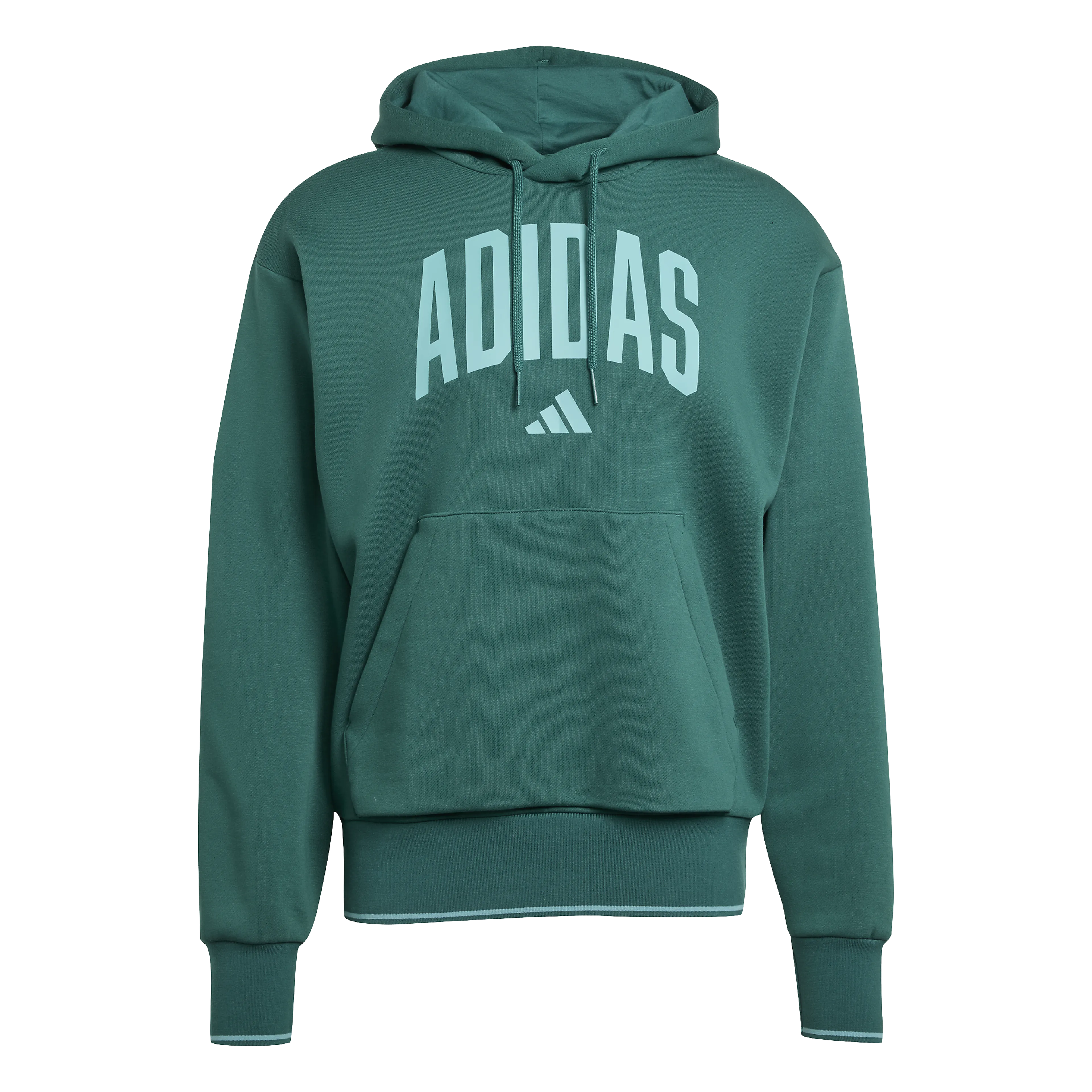 Collegiate Hoodie
