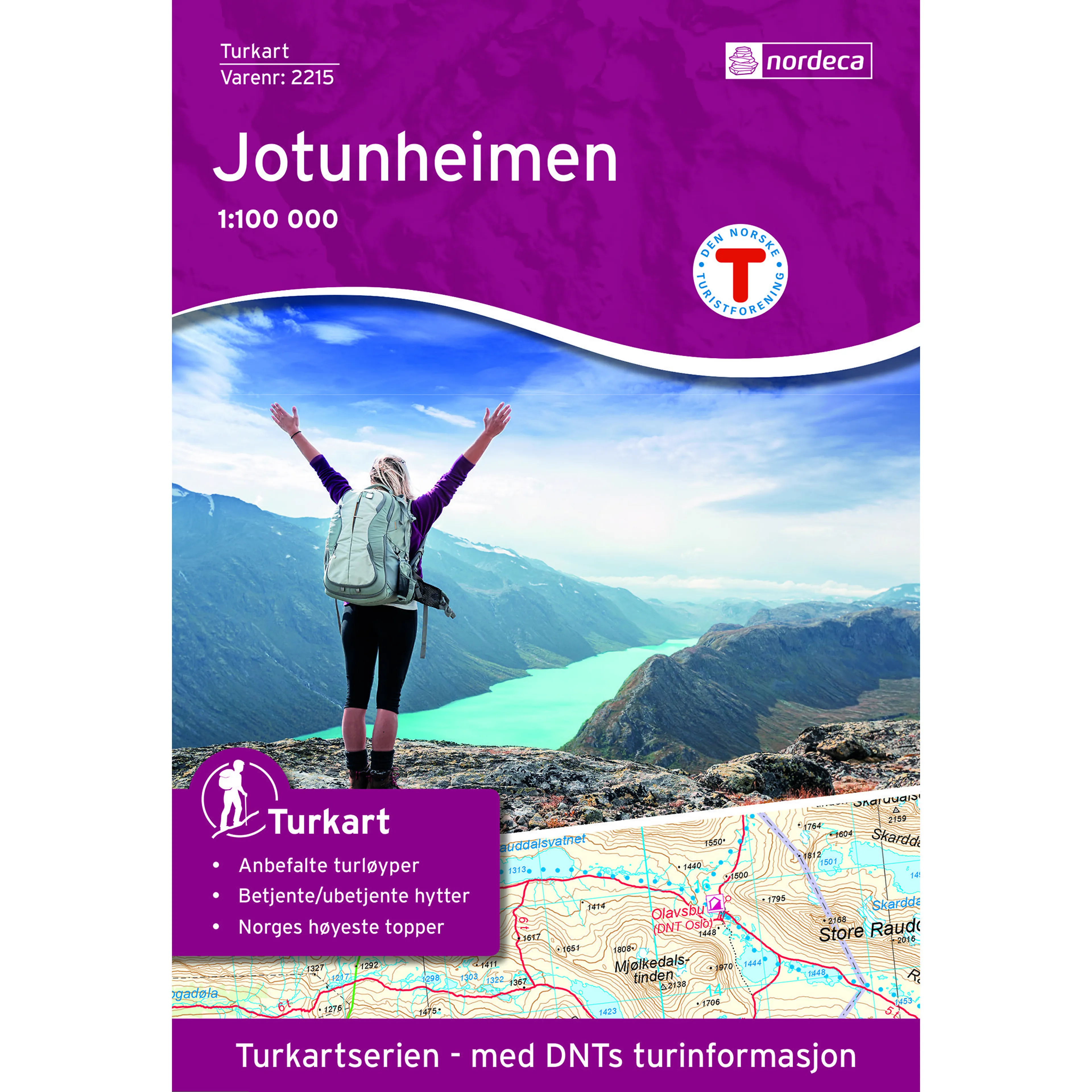 JOTUNHEIMEN 1:100 000