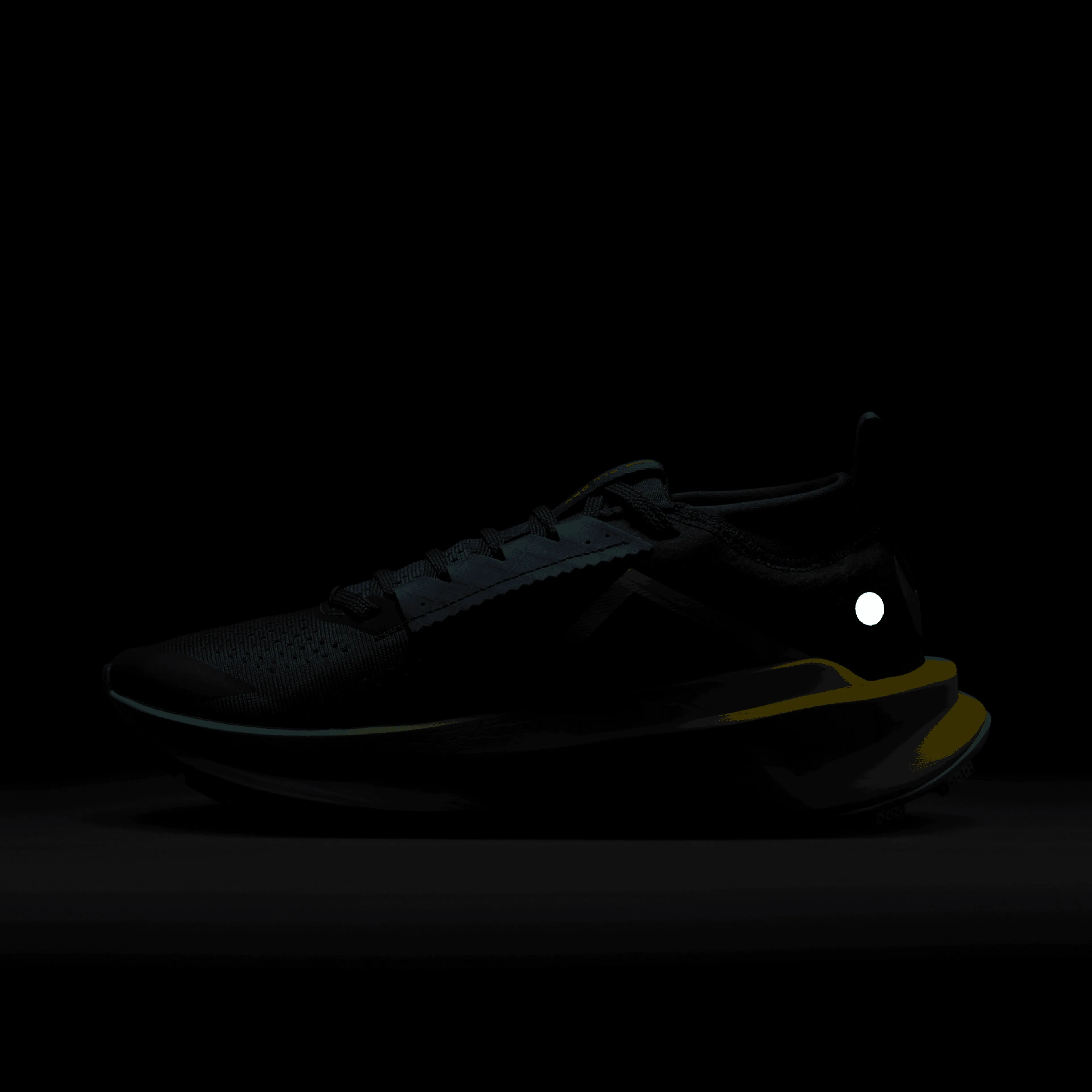 Nike ZoomX Zegama Trail 2