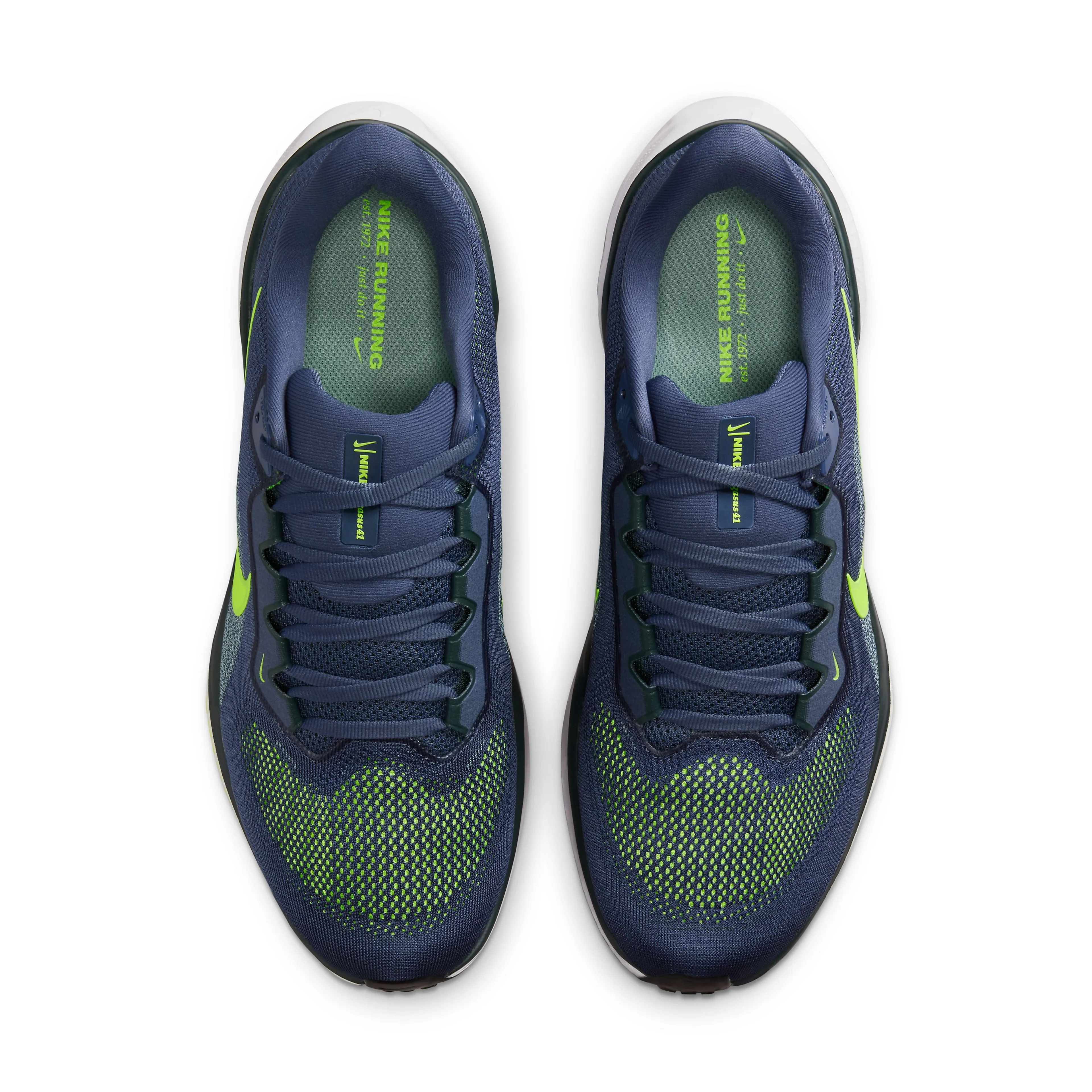 Pegasus 41 Men's Road Running