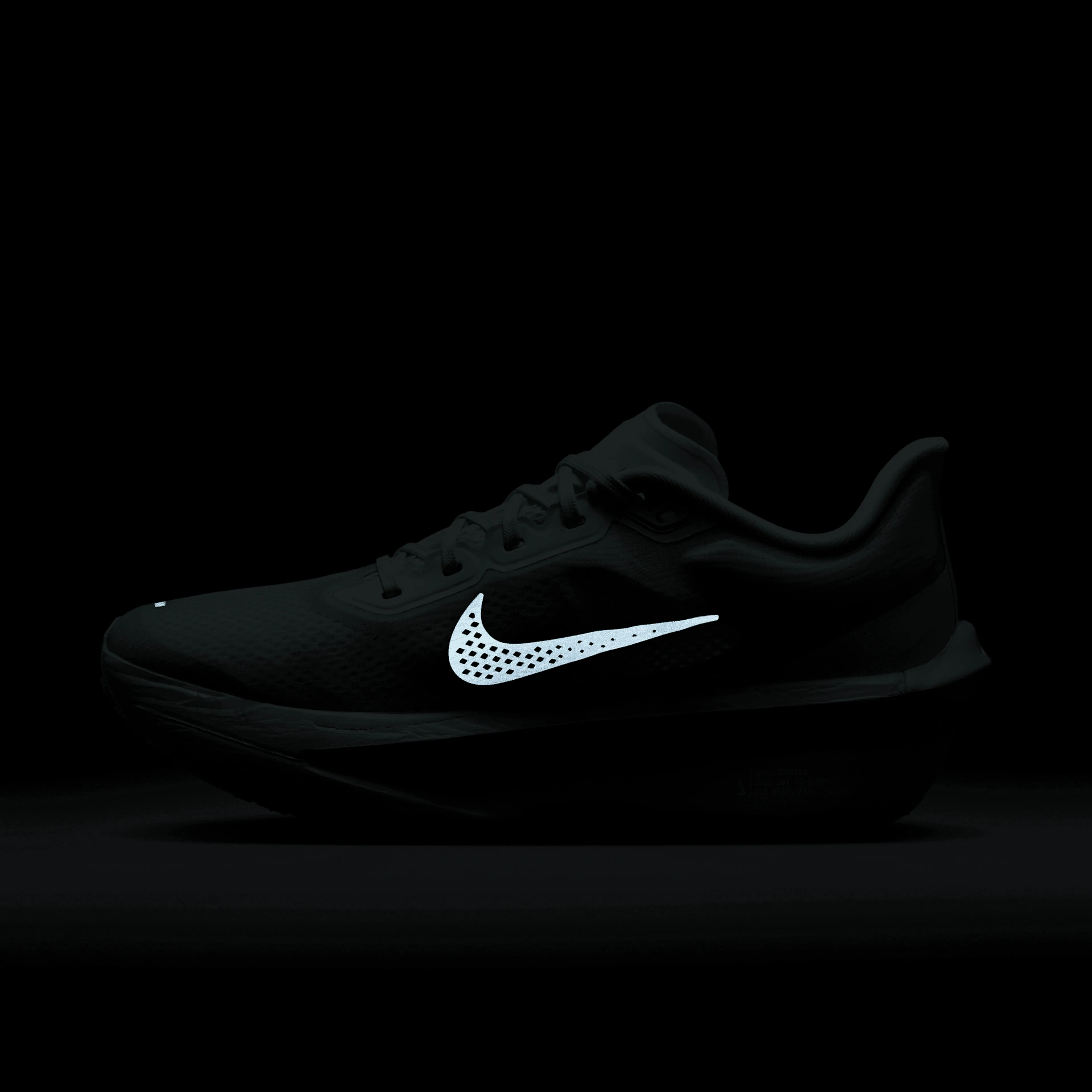 Zoom Fly 6