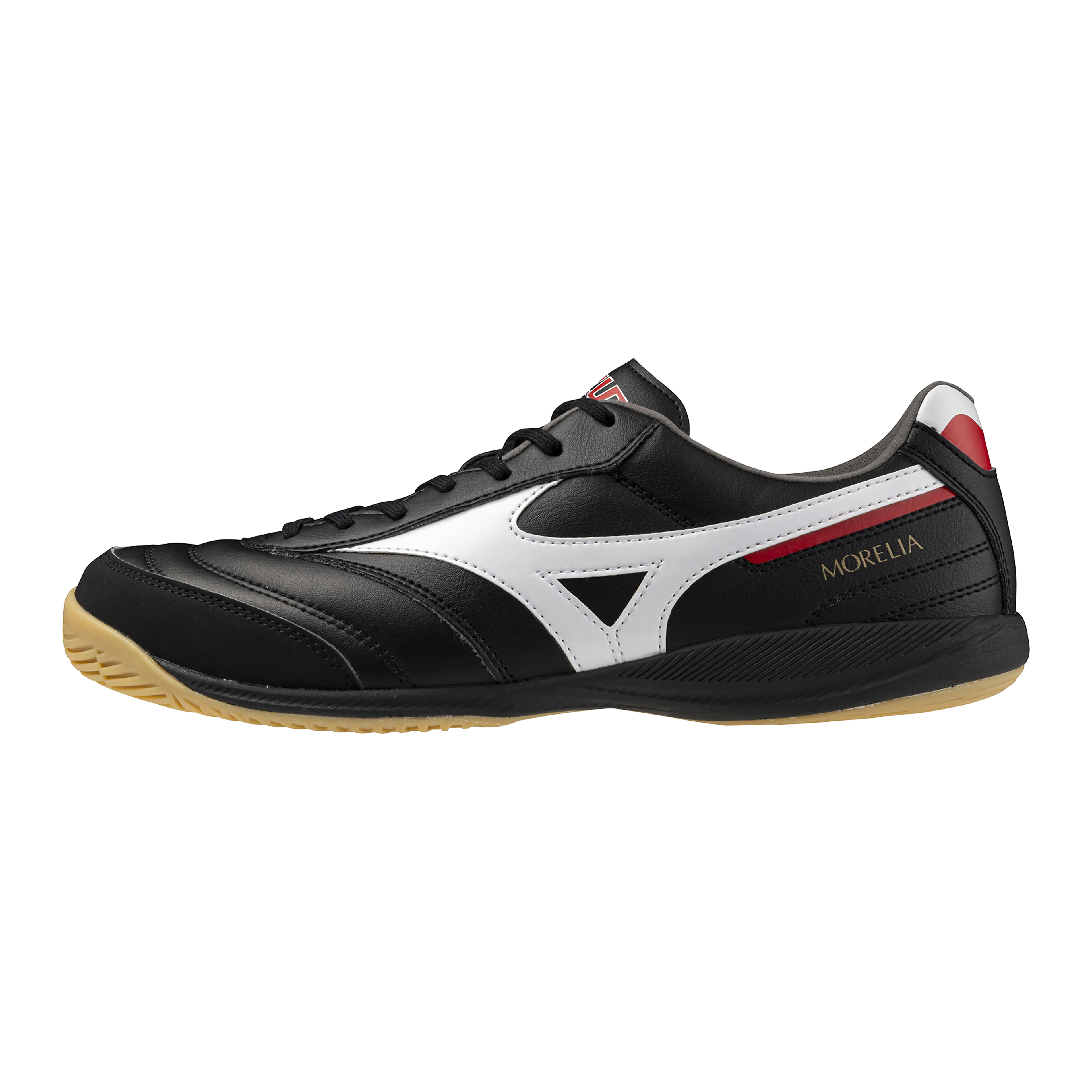 MORELIA SALA PRO IN