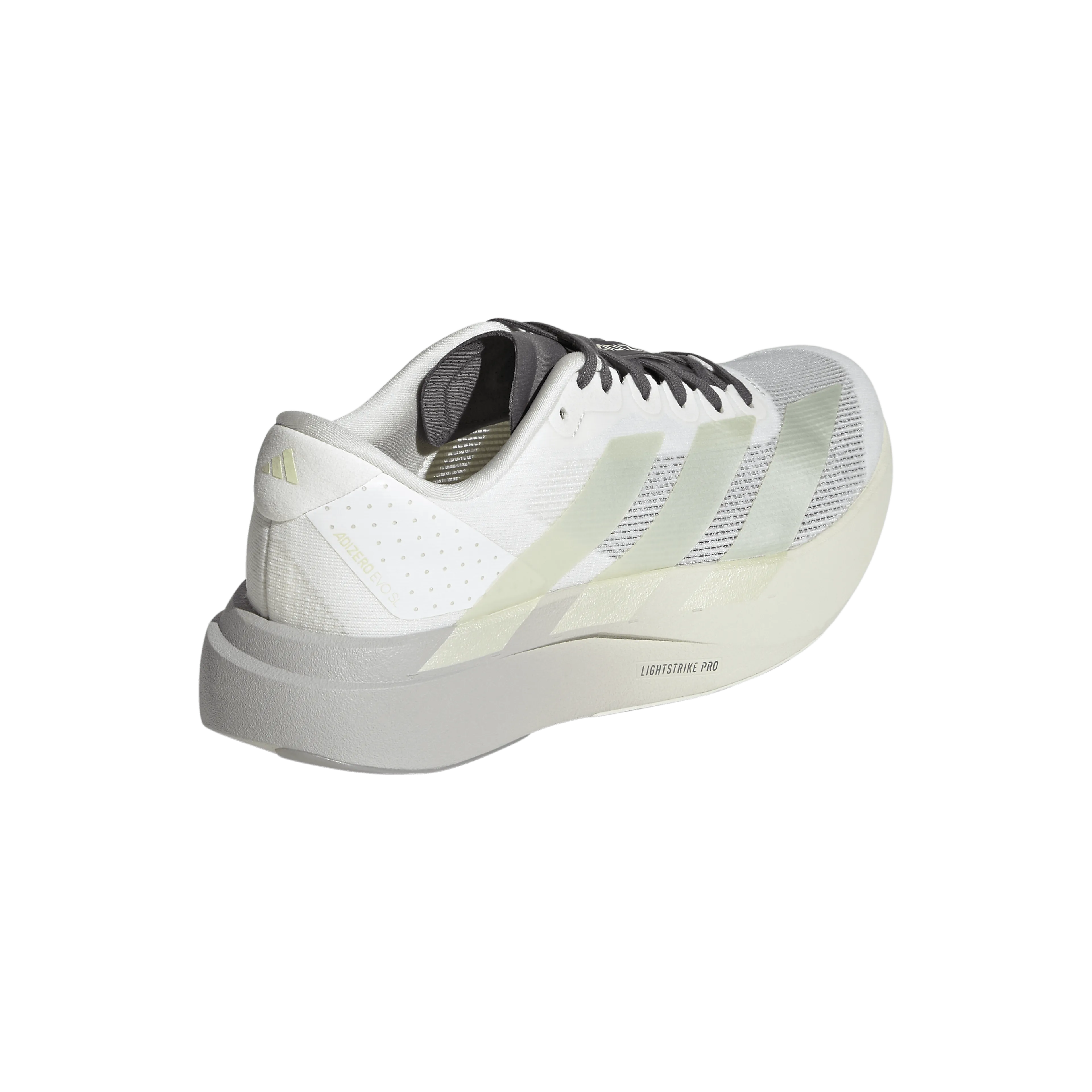 Adizero EVO SL Løpesko Dame