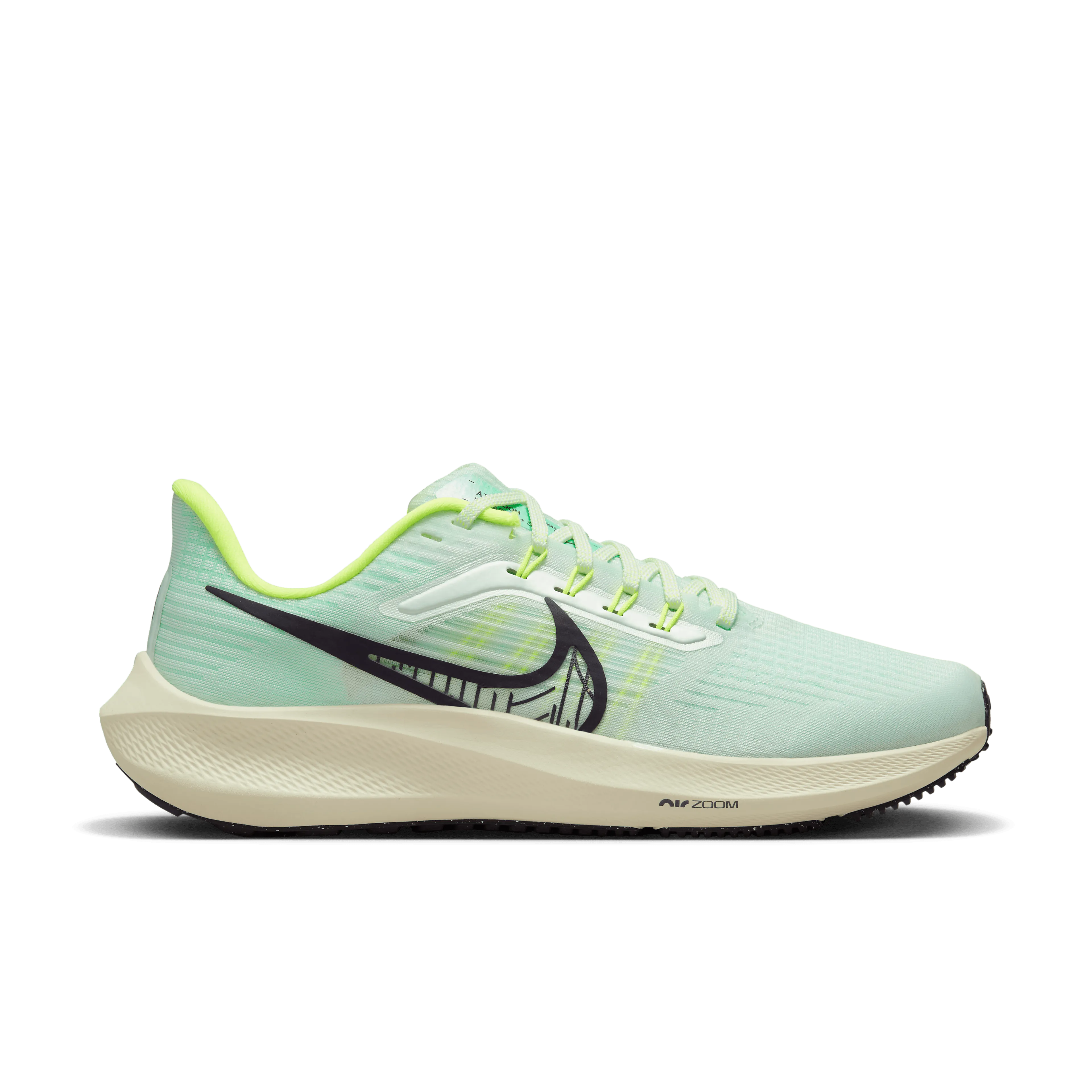 Air Zoom Pegasus 39