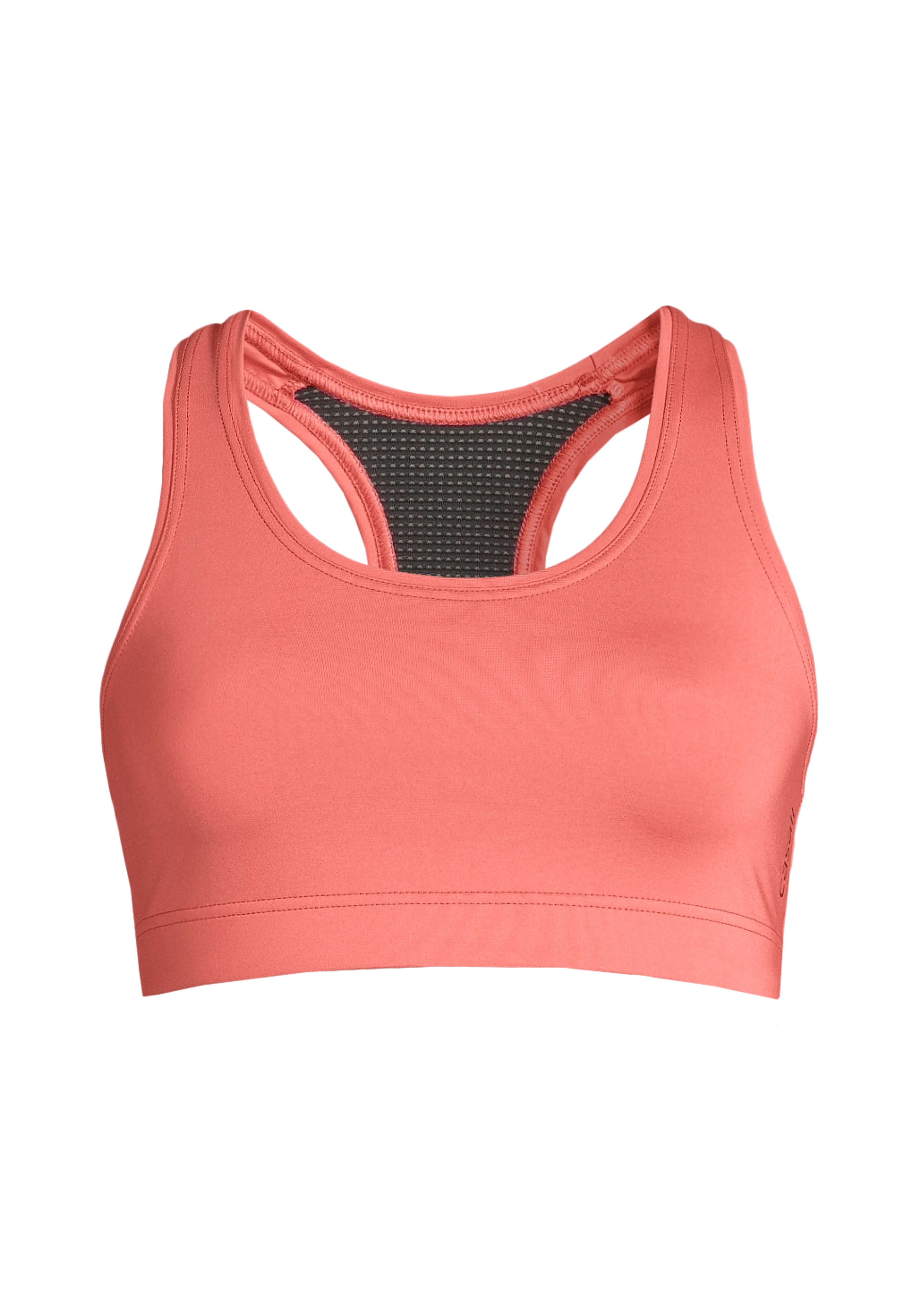Iconic Sports Bra