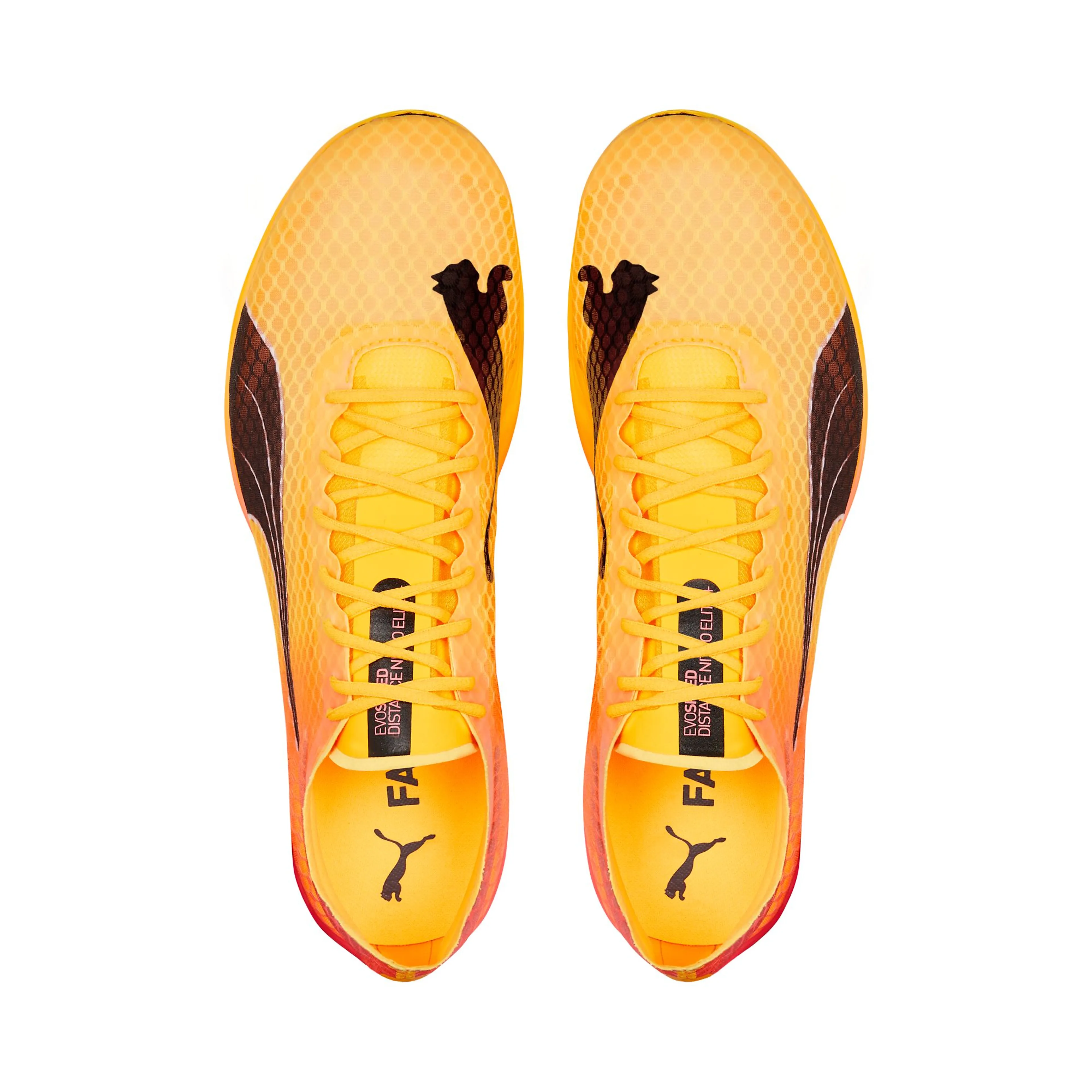EvoSpeed Distance Nitro Elite+ 2