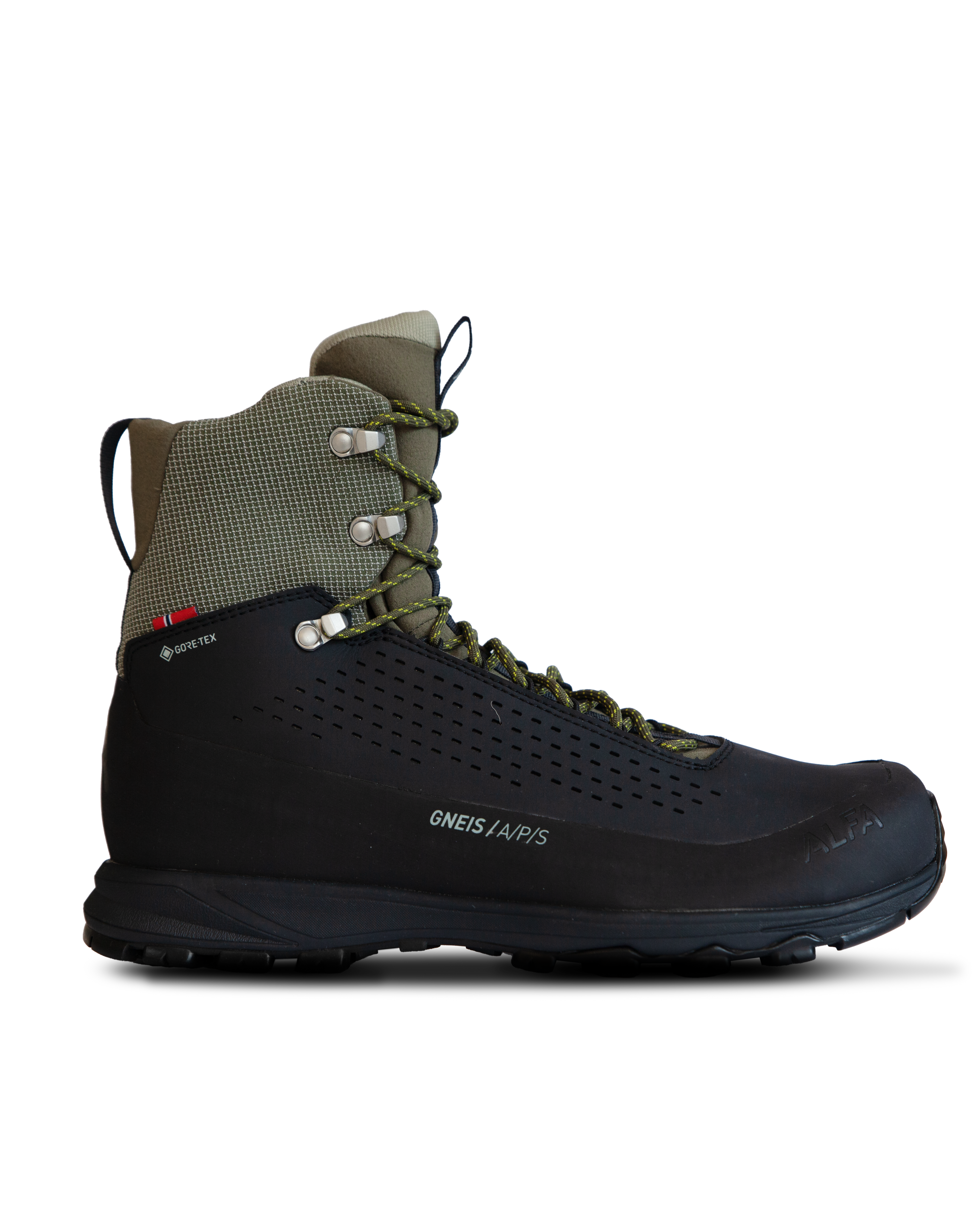 GNEIS ADVANCE GTX M