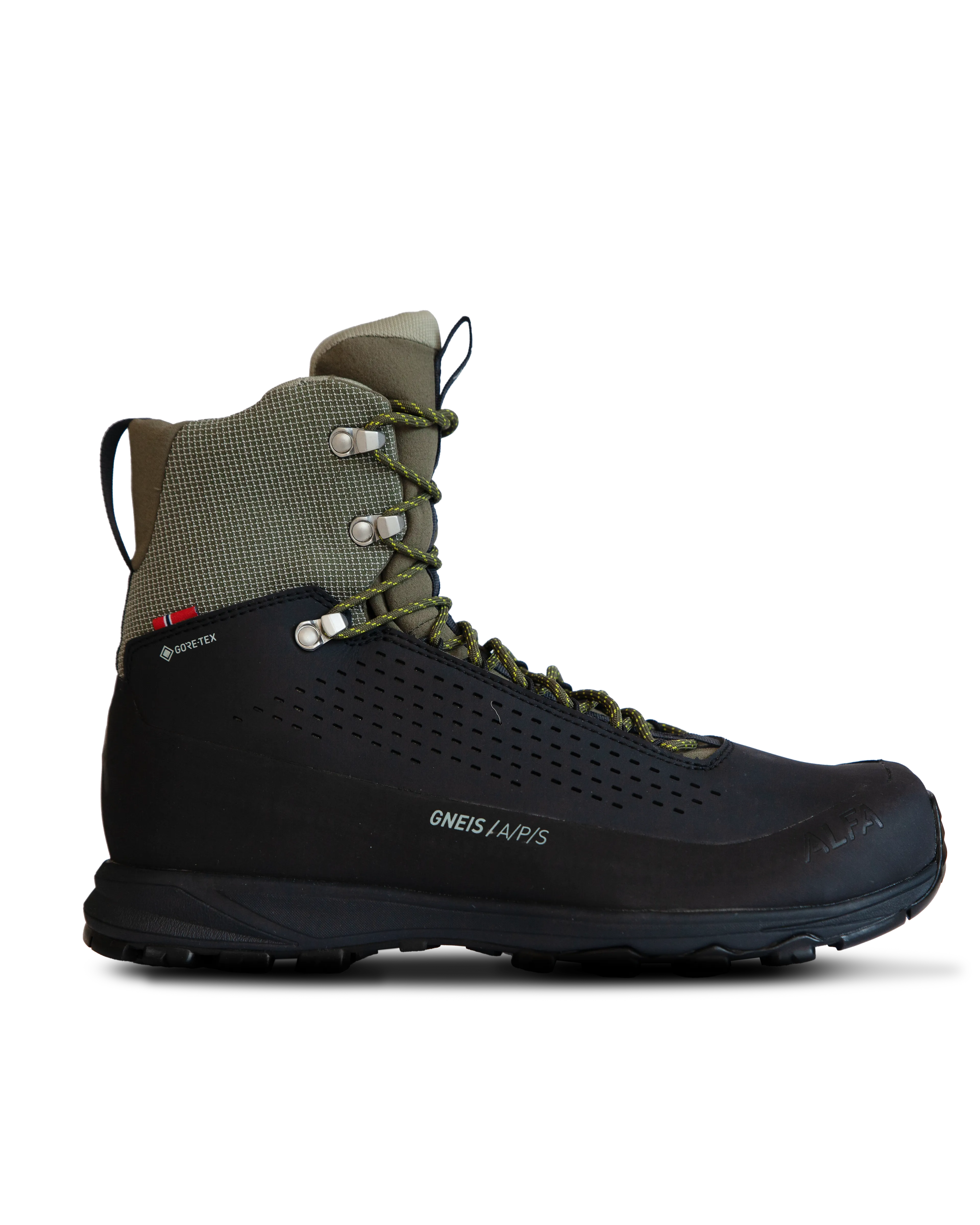 GNEIS ADVANCE GTX M