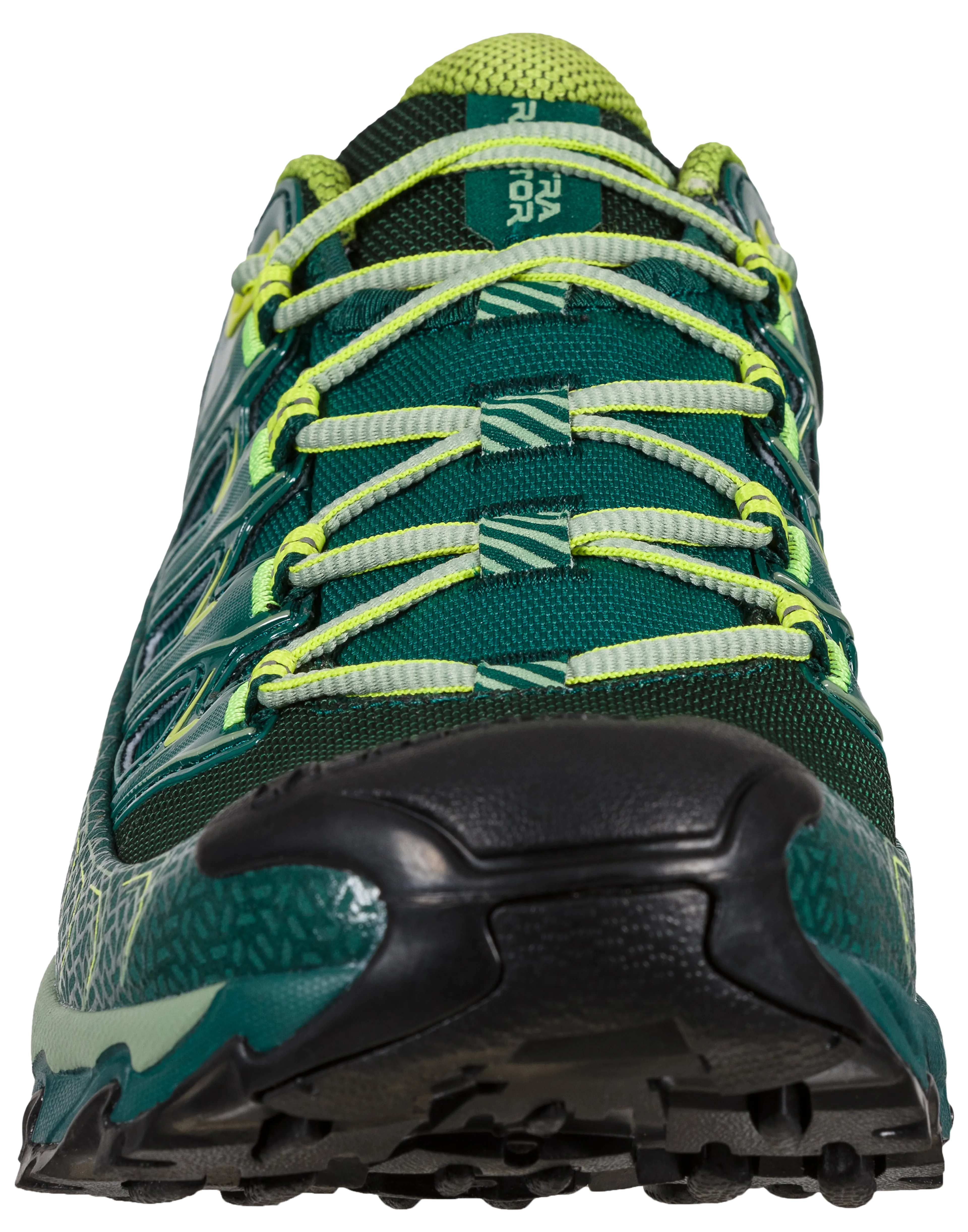 Ultra Raptor II GTX Hikingsko