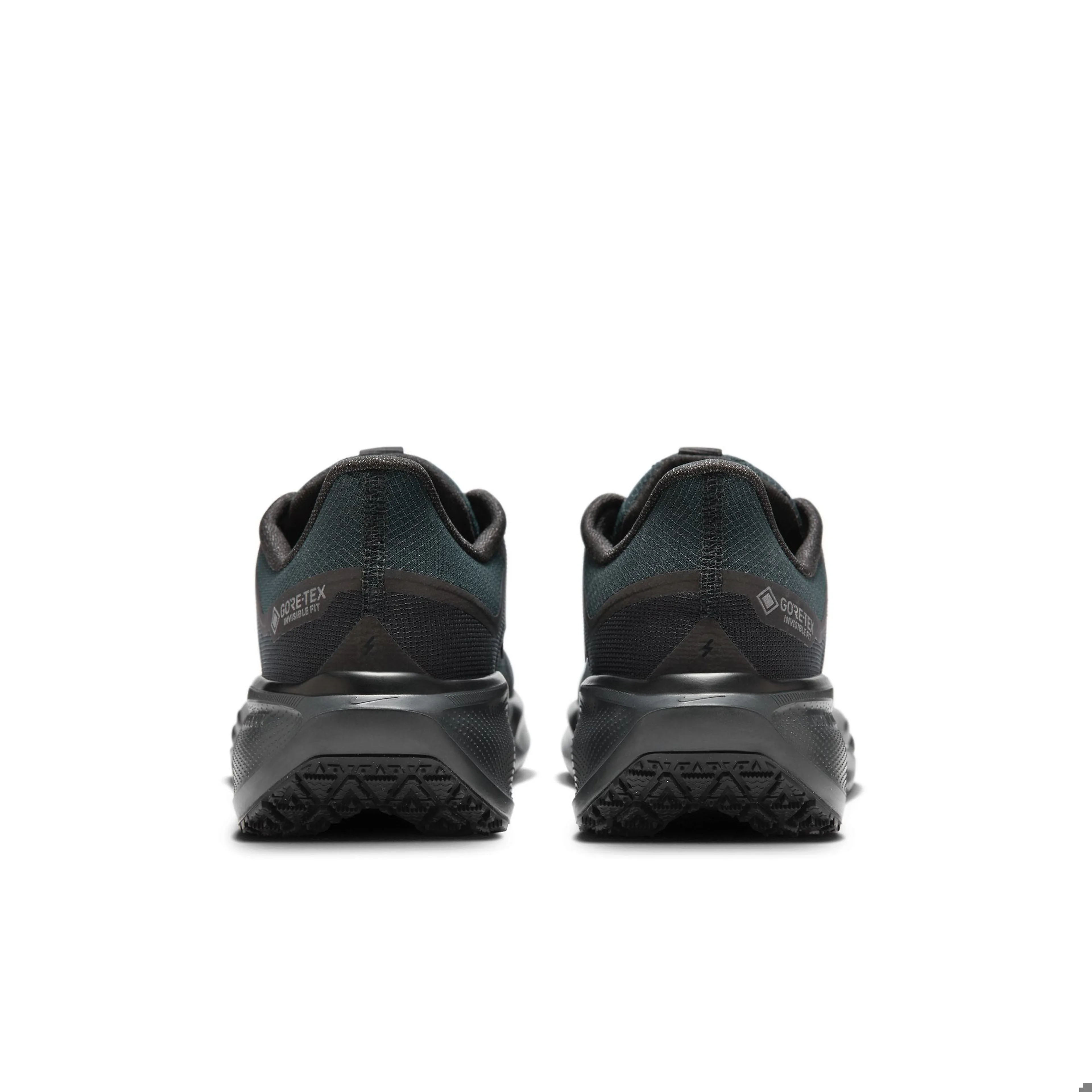 Air Zoom Pegasus 41 GTX