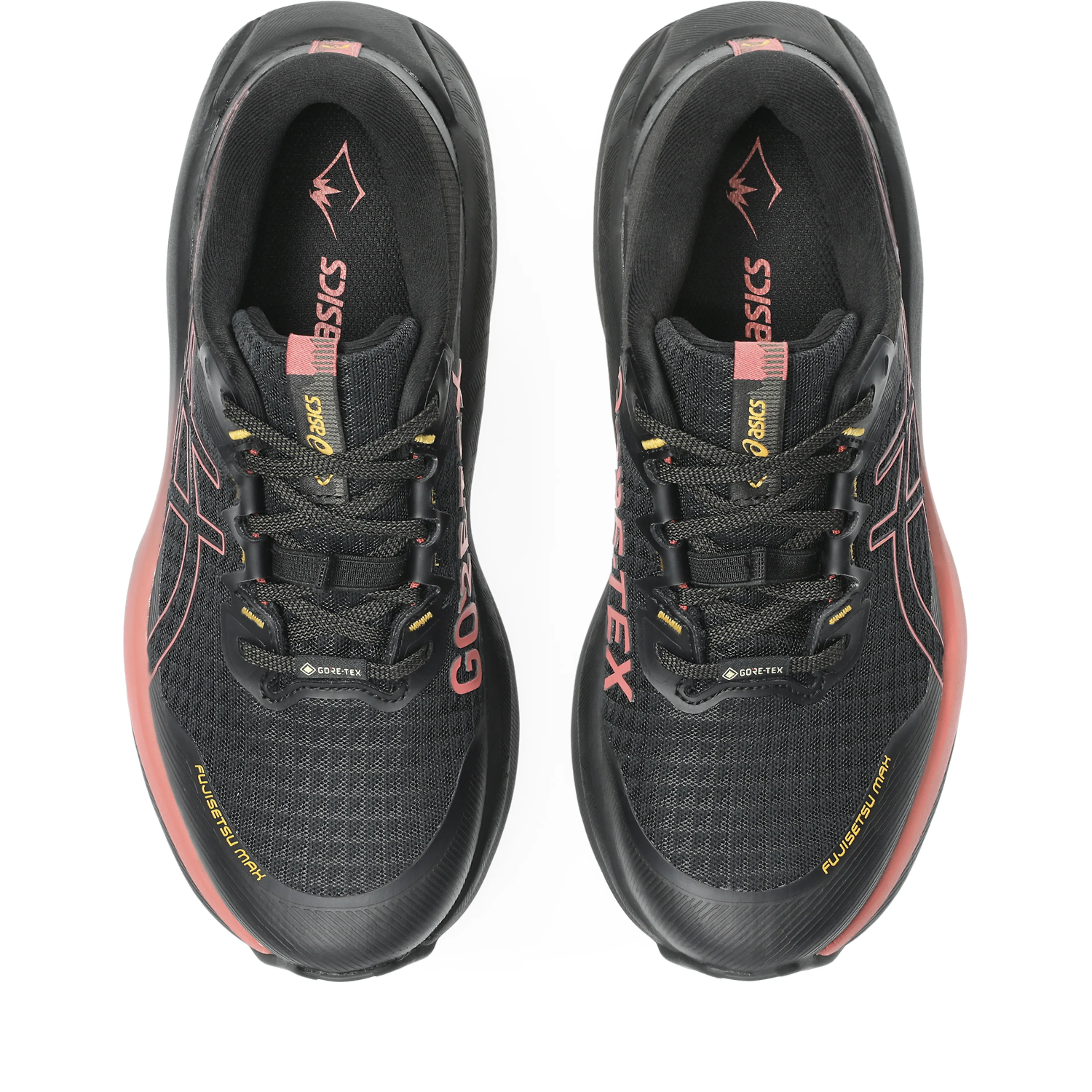 FUJISETSU MAX GTX