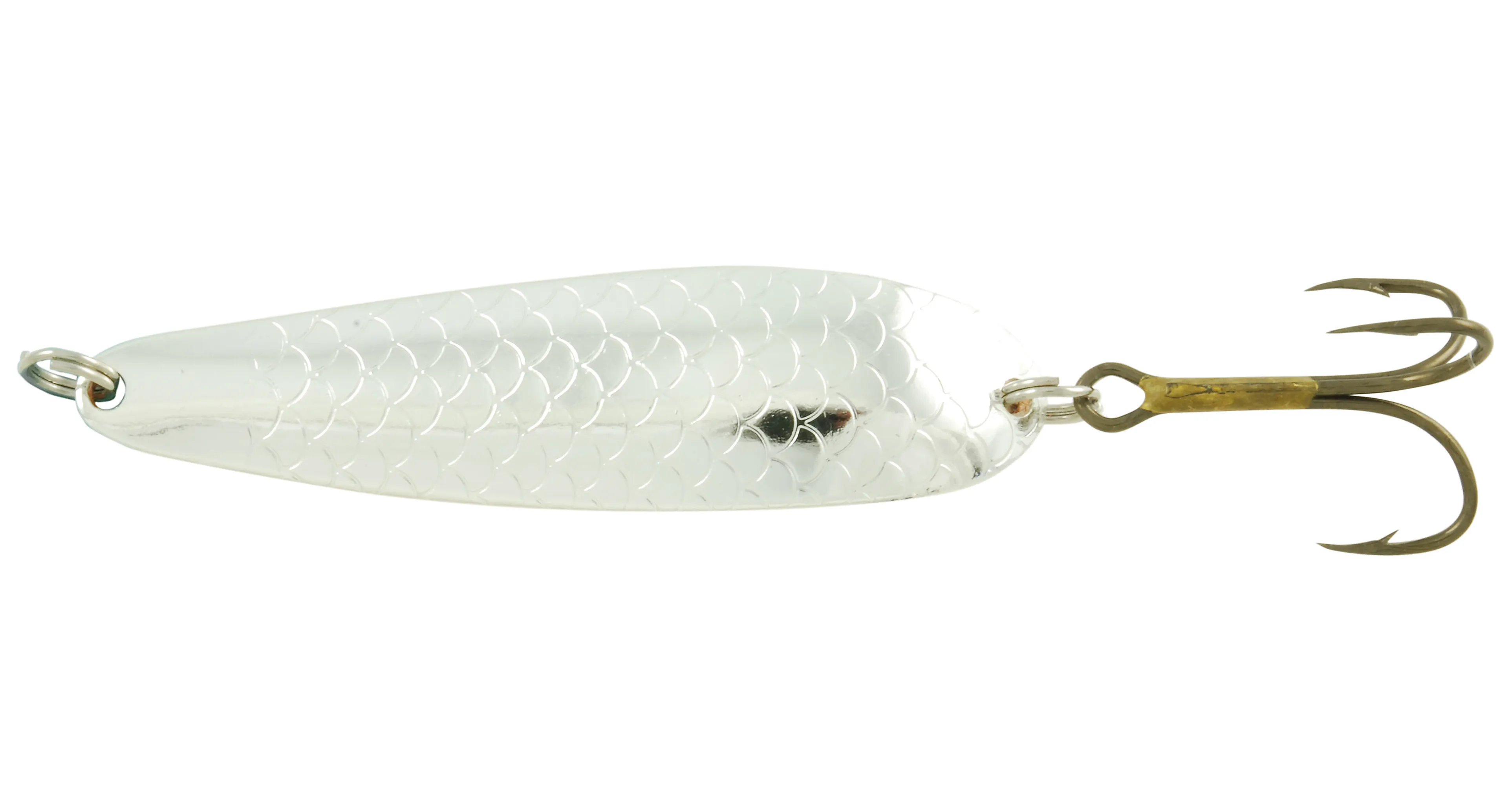Salamander Allround