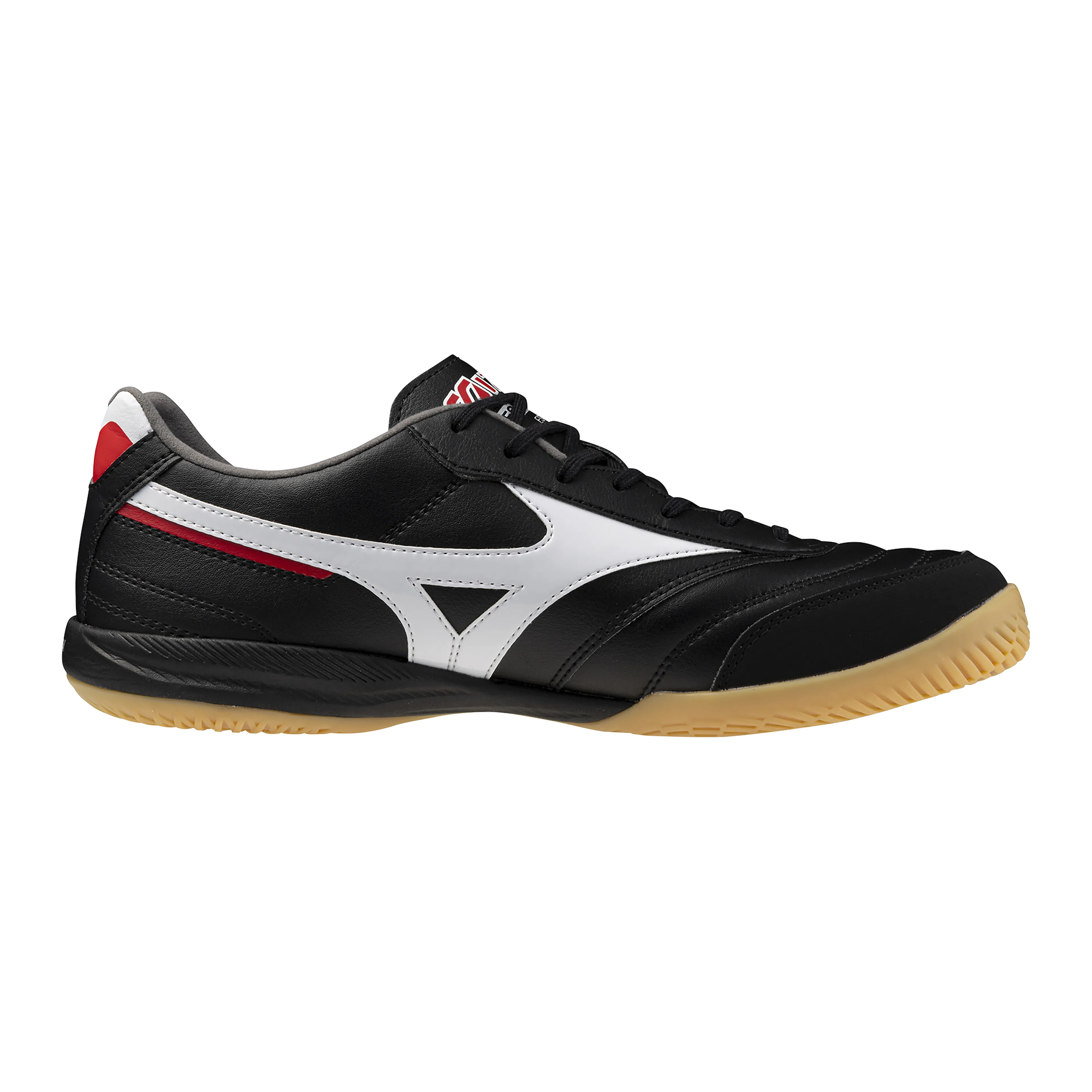 MORELIA SALA PRO IN